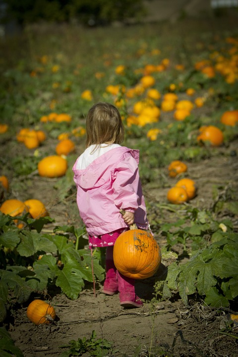 girl carrying pumpkin 2517119 960 720