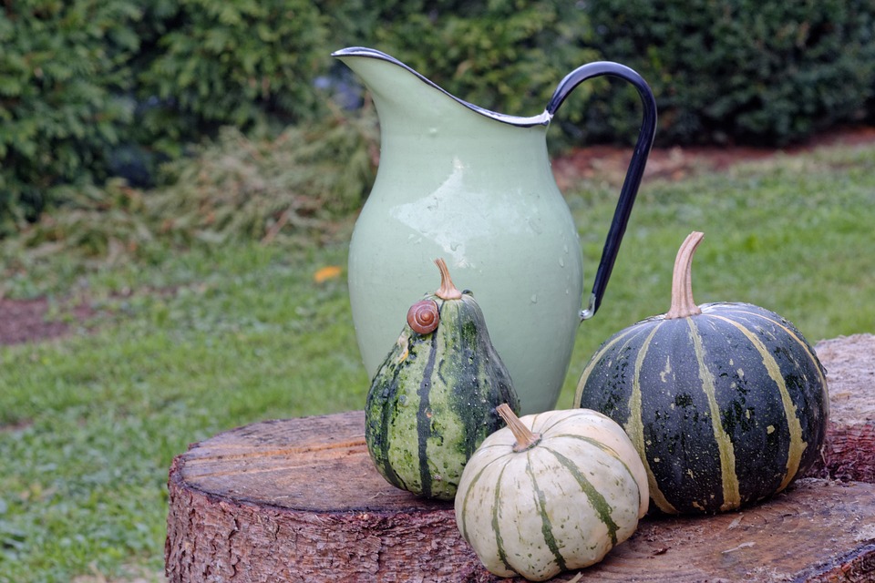 pumpkin 3696189 960 720