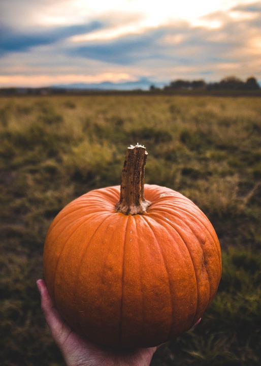 pumpkin 4484449 960 720