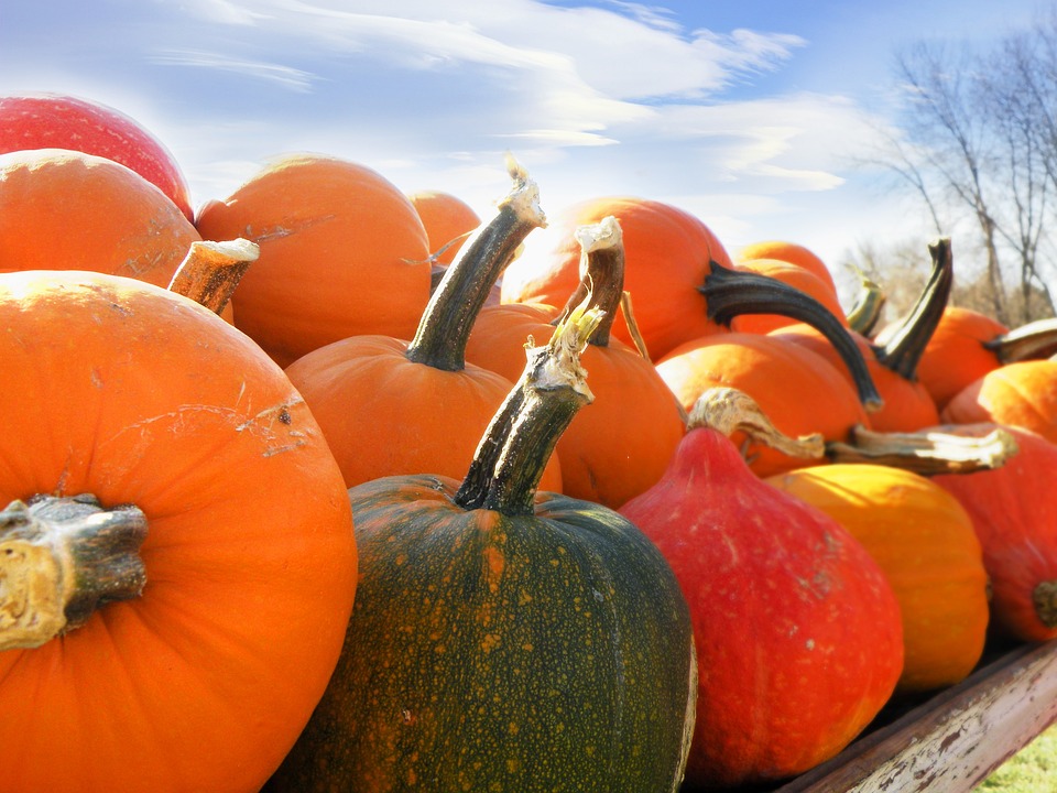 pumpkins 1432736 960 720