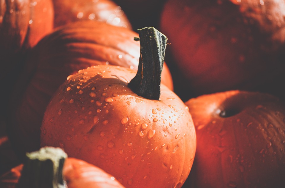 pumpkins 2754229 960 720