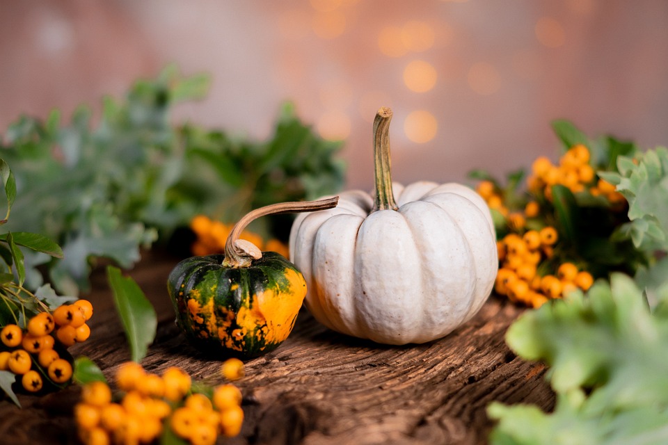 pumpkins 5641482 960 720