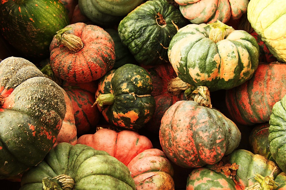 pumpkins 6742193 960 720