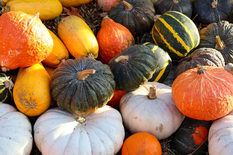 pumpkins 6755460 960 720