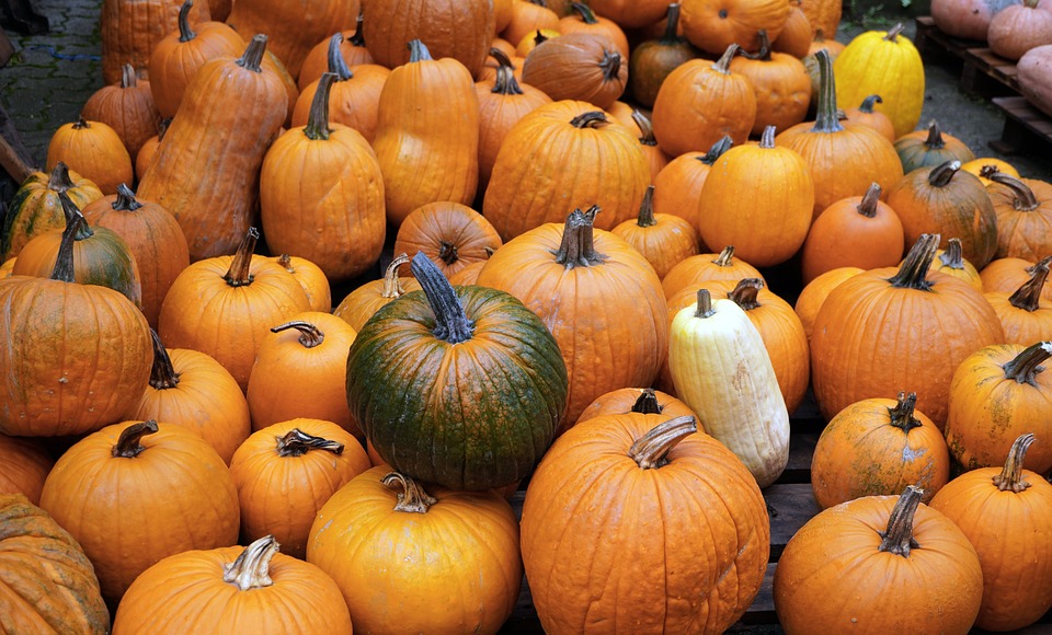 pumpkins 7484506 960 720