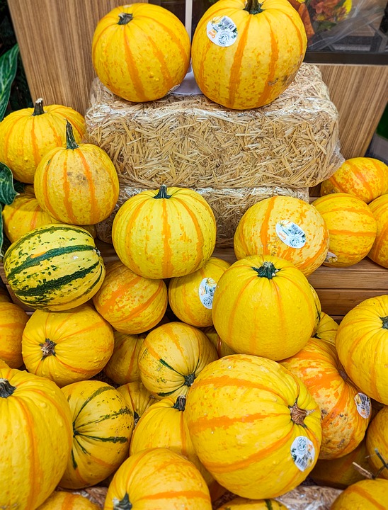 pumpkins 9065850 960 720