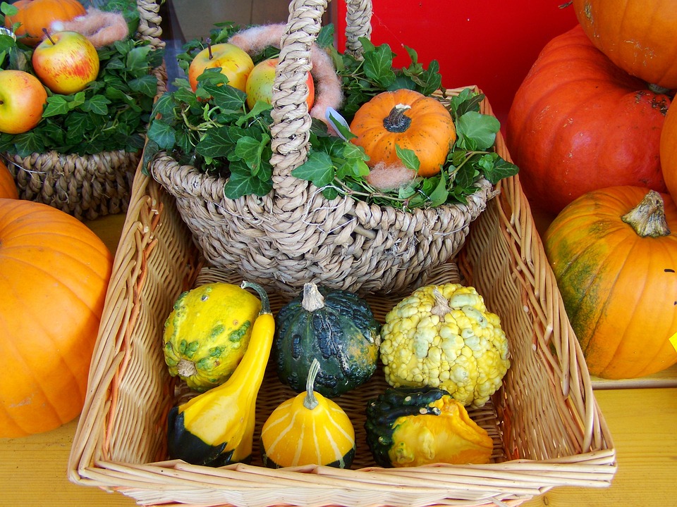 colorful pumpkins 959509 960 720