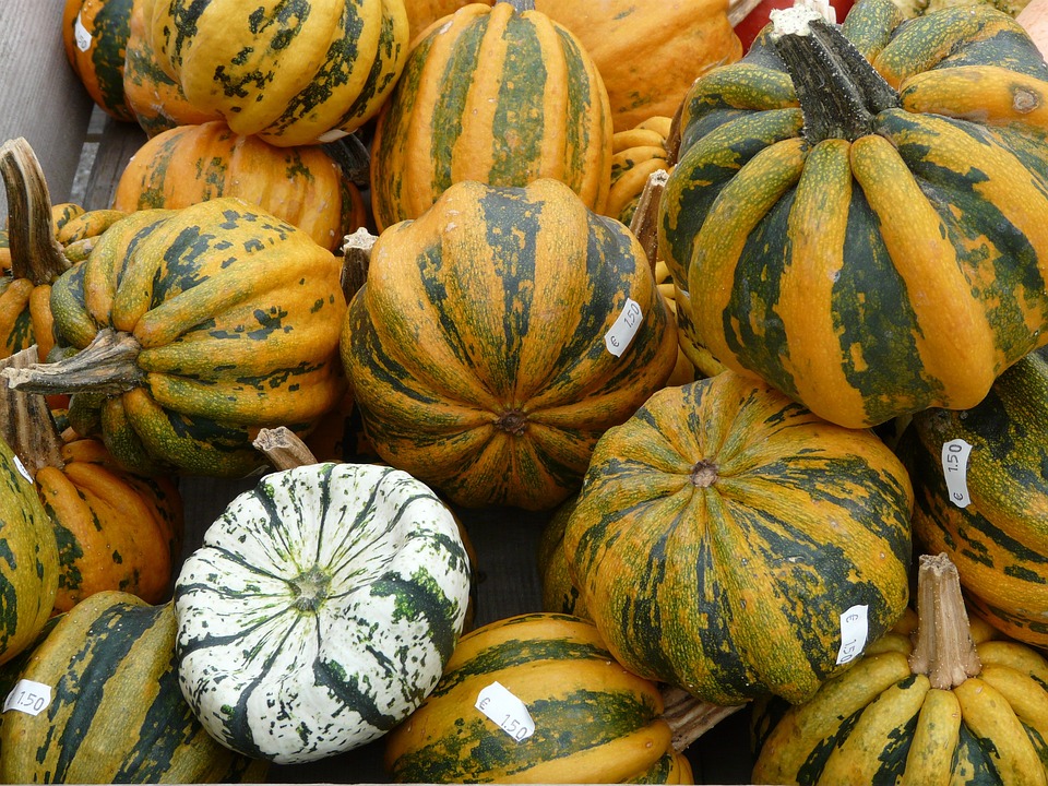 giant pumpkins 61272 960 720