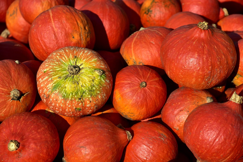 hokkaido pumpkin 3636239 960 720