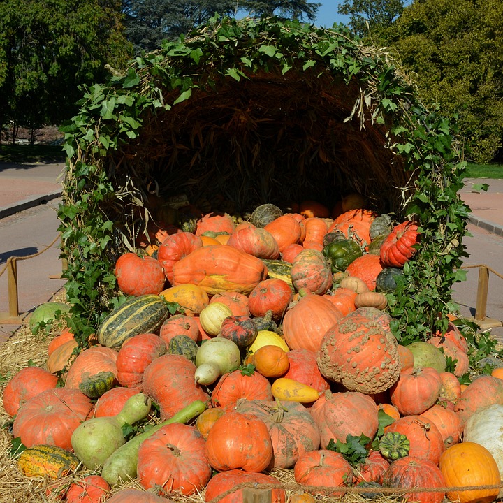 pumpkin 1004373 960 720