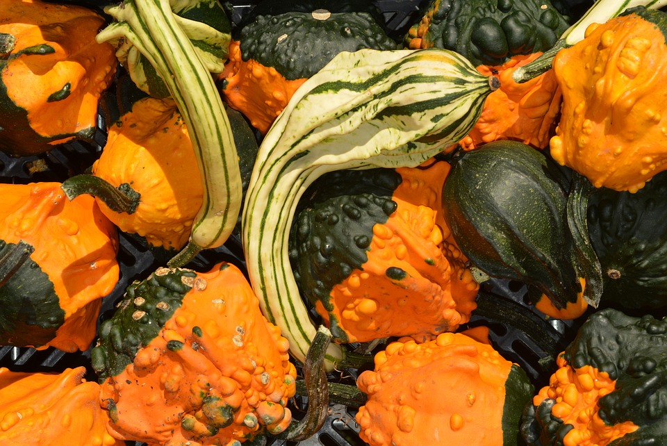 pumpkin 1004378 960 720