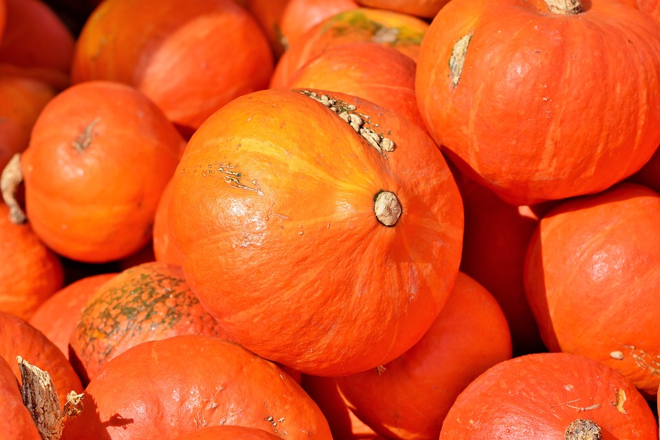 pumpkin 3735640 960 720