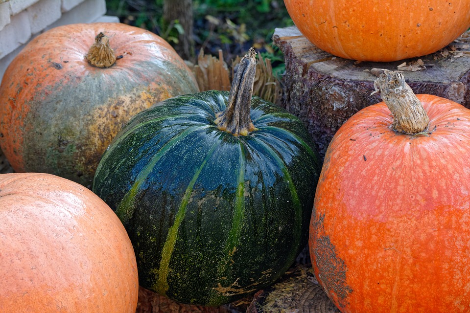 pumpkin 3811820 960 720