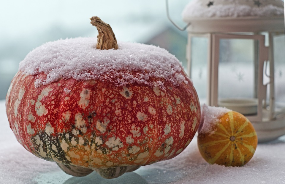 pumpkin 3878768 960 720
