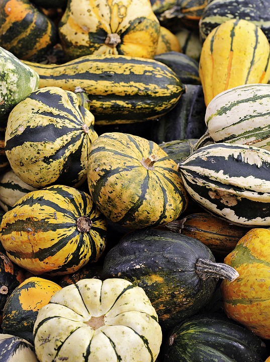pumpkin 4470981 960 720