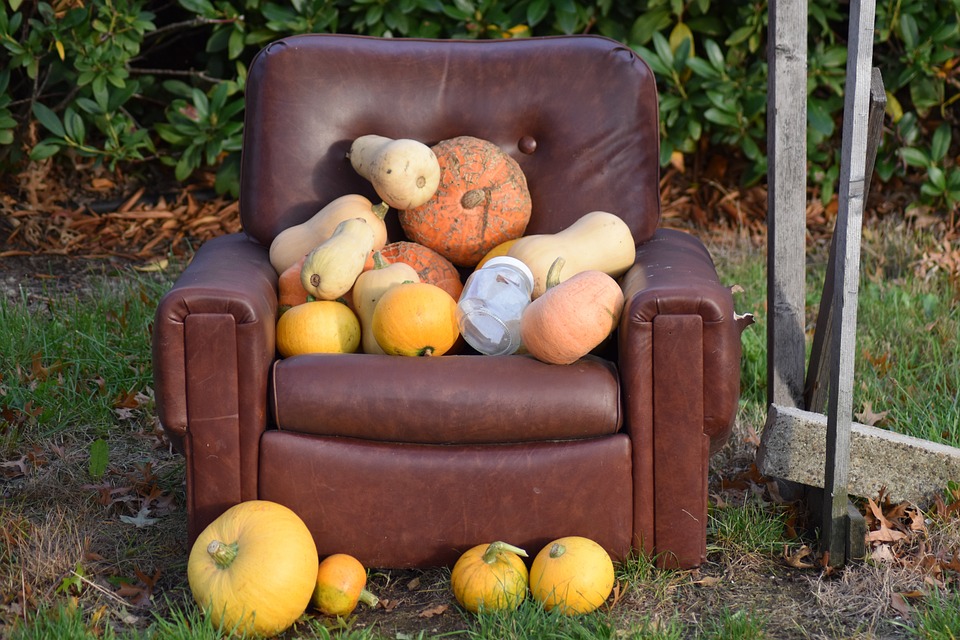 pumpkin 4530619 960 720