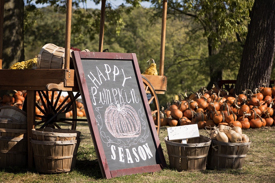 pumpkin patch 2873348 960 720