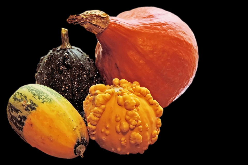 pumpkins 1376973 960 720