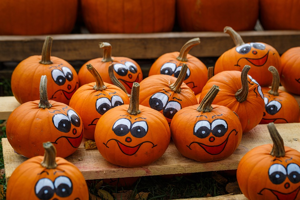 pumpkins 2513228 960 720