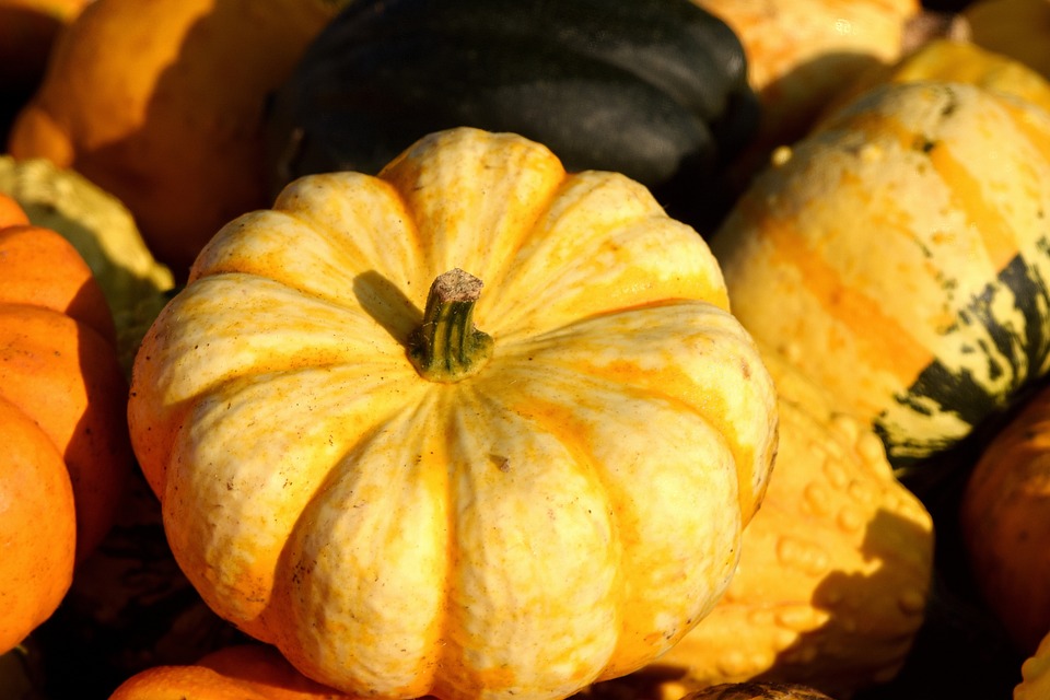 pumpkins 2790314 960 720