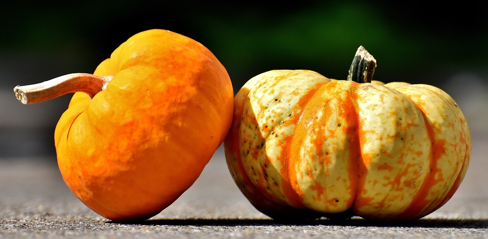 pumpkins 2825186 960 720