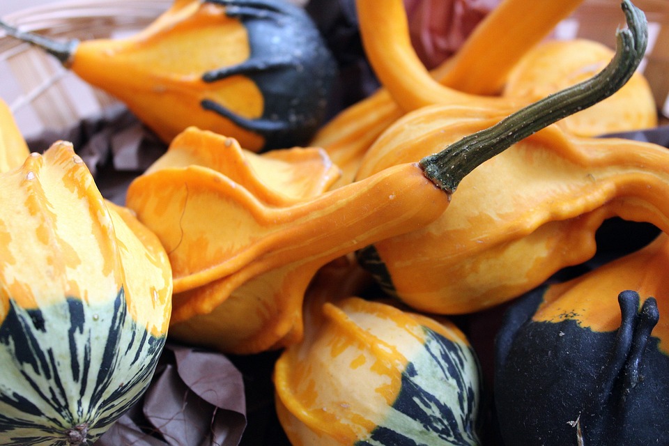 pumpkins 2847708 960 720