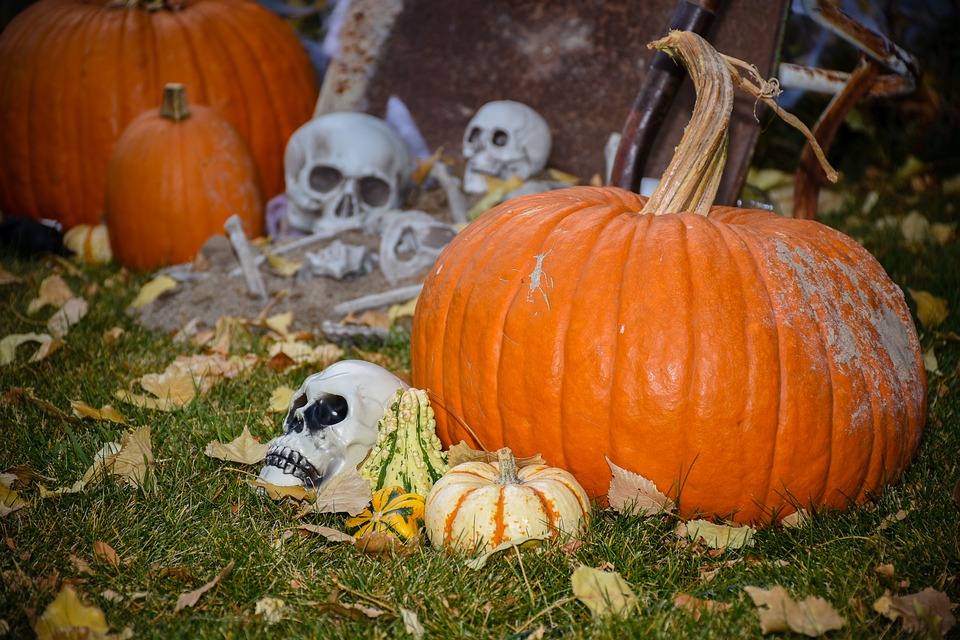 pumpkins 3209075 960 720