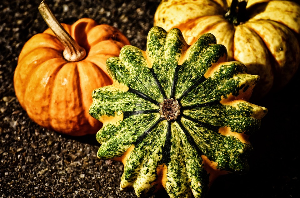 pumpkins 3649205 960 720
