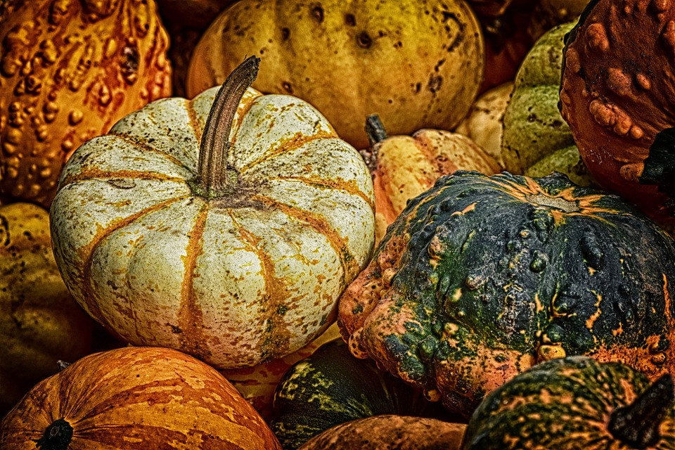 pumpkins 3680030 960 720