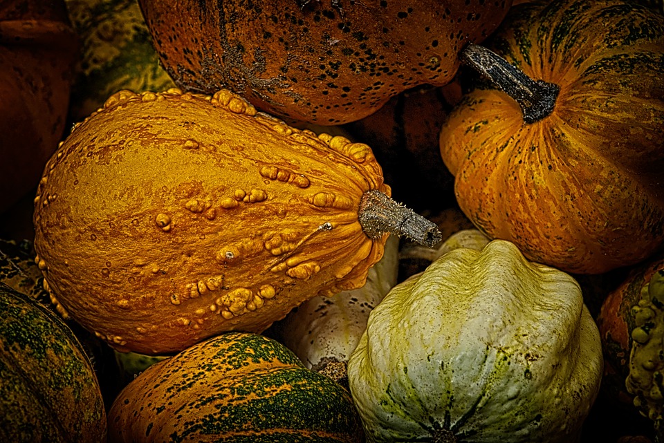 pumpkins 3684972 960 720