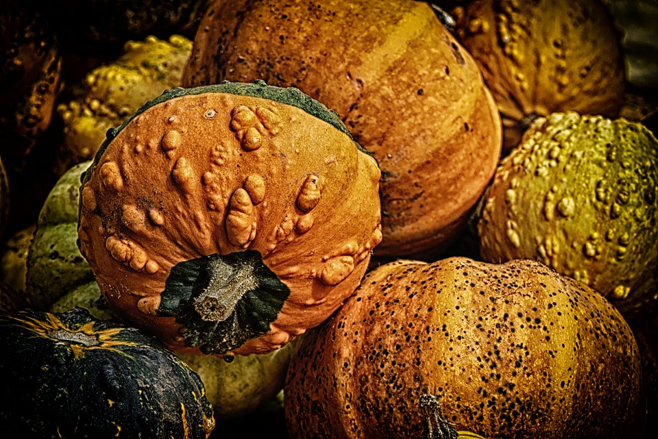pumpkins 3685006 960 720