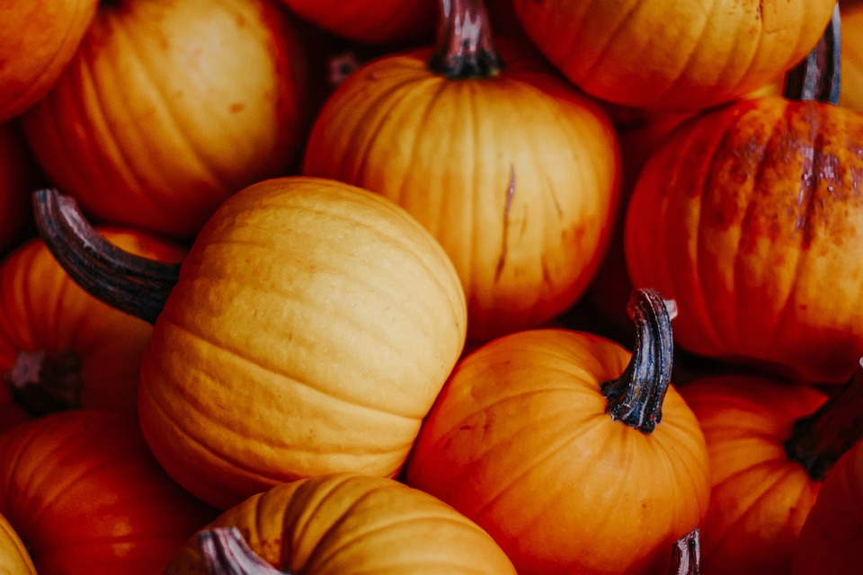 pumpkins 3693624 960 720