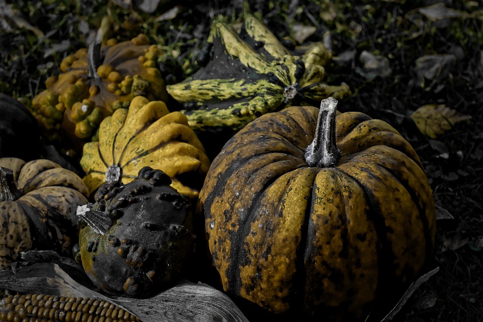 pumpkins 4397741 960 720