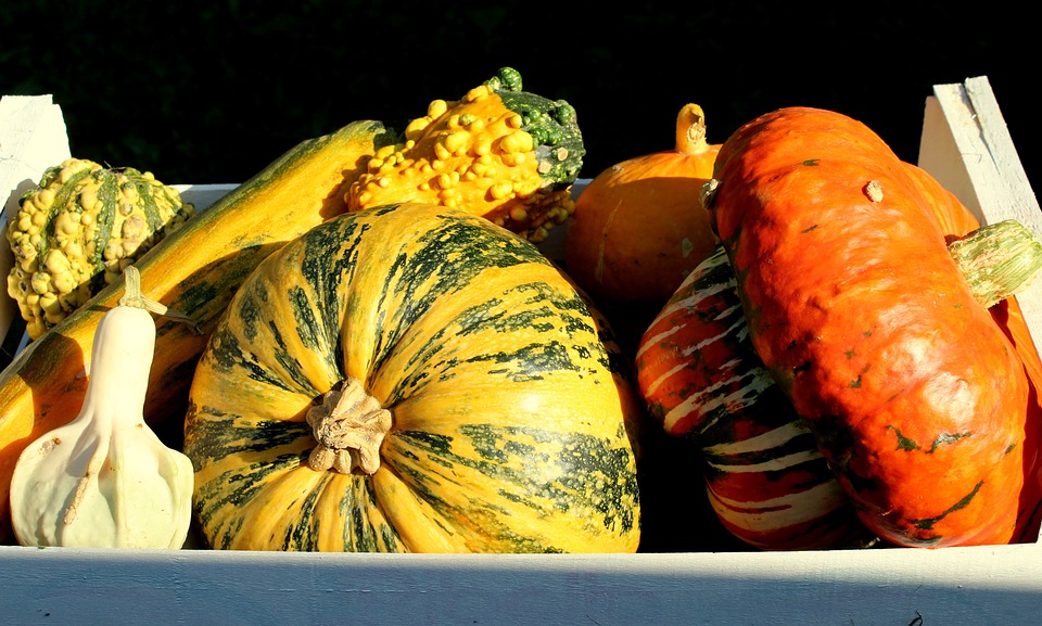 pumpkins 4471742 960 720