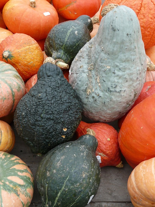 pumpkins 61269 960 720