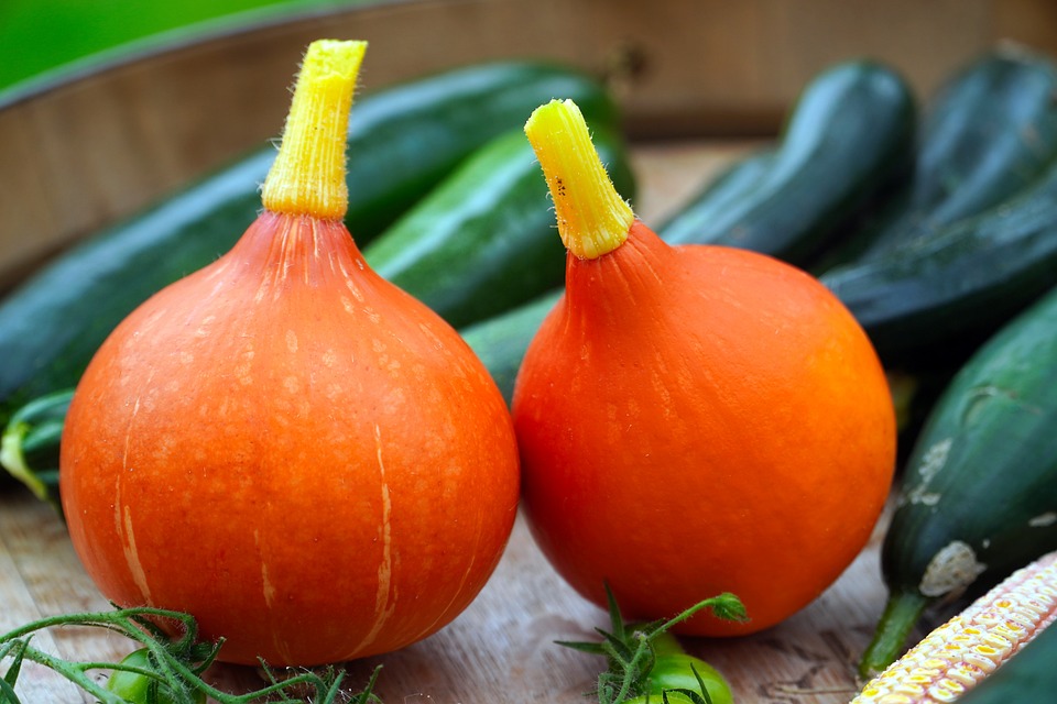 pumpkins 6583894 960 720