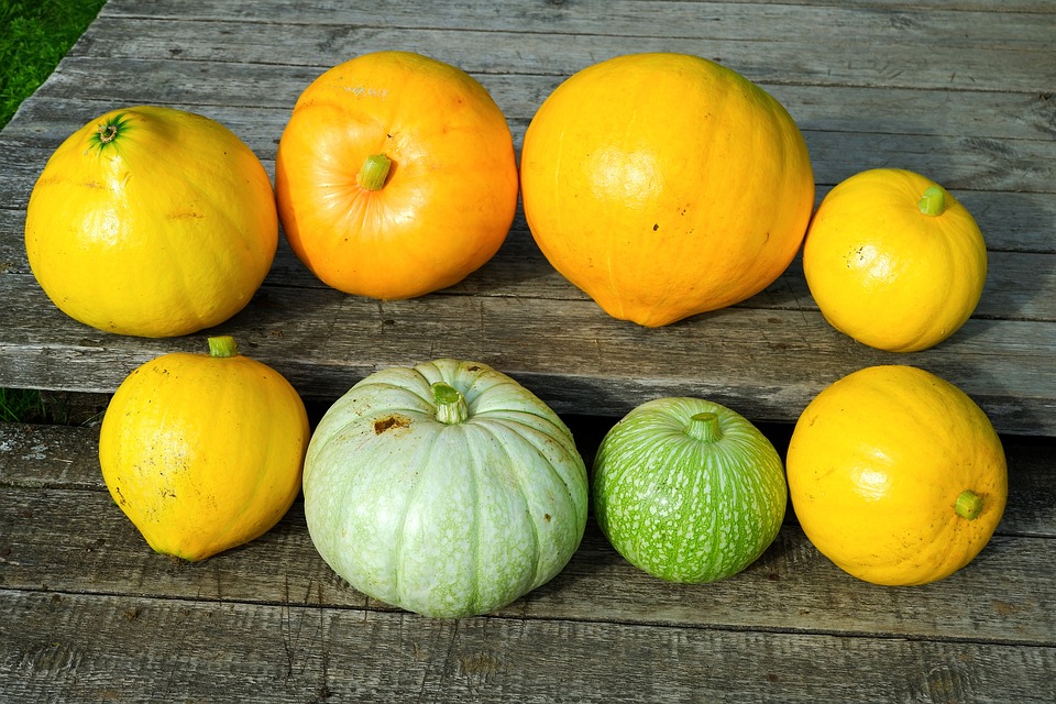 pumpkins 6610922 960 720