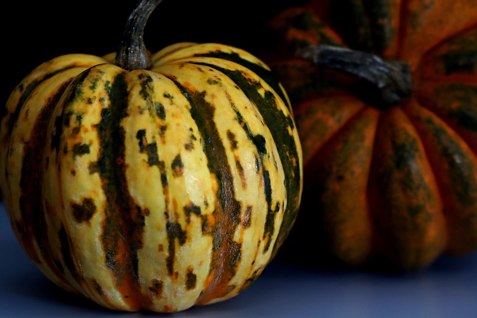 pumpkins 6925366 960 720