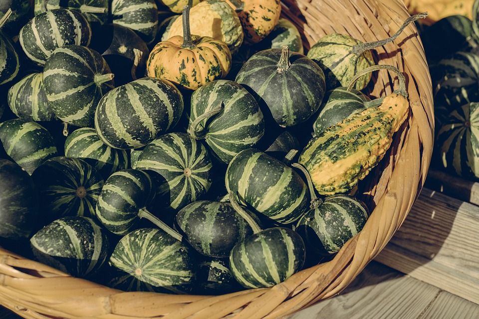 pumpkins 7408427 960 720