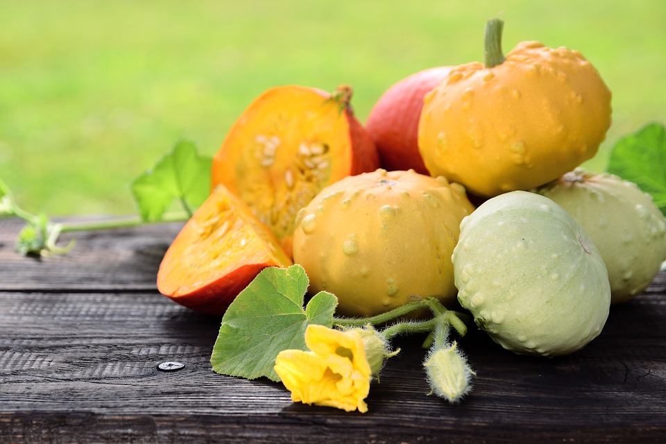 pumpkins 7440239 960 720