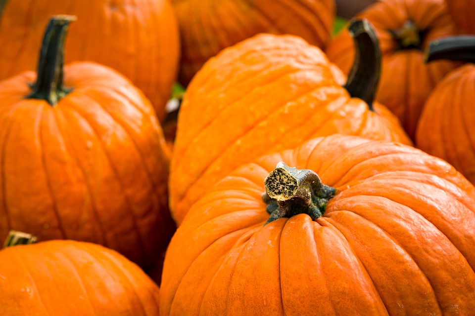pumpkins 7517126 960 720