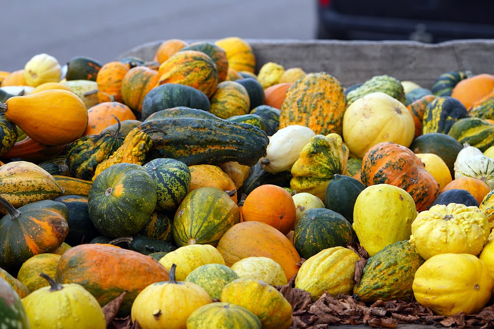 pumpkins 7530902 960 720