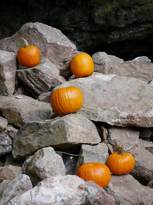 pumpkins 7545712 960 720