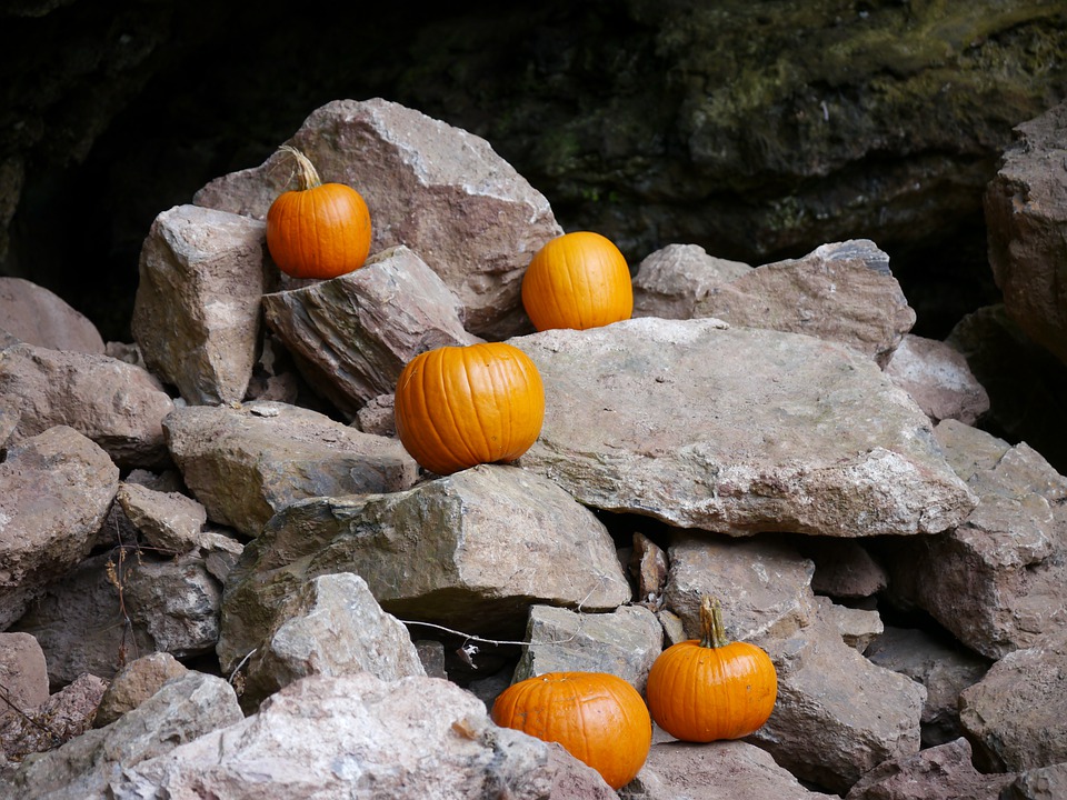 pumpkins 7545718 960 720
