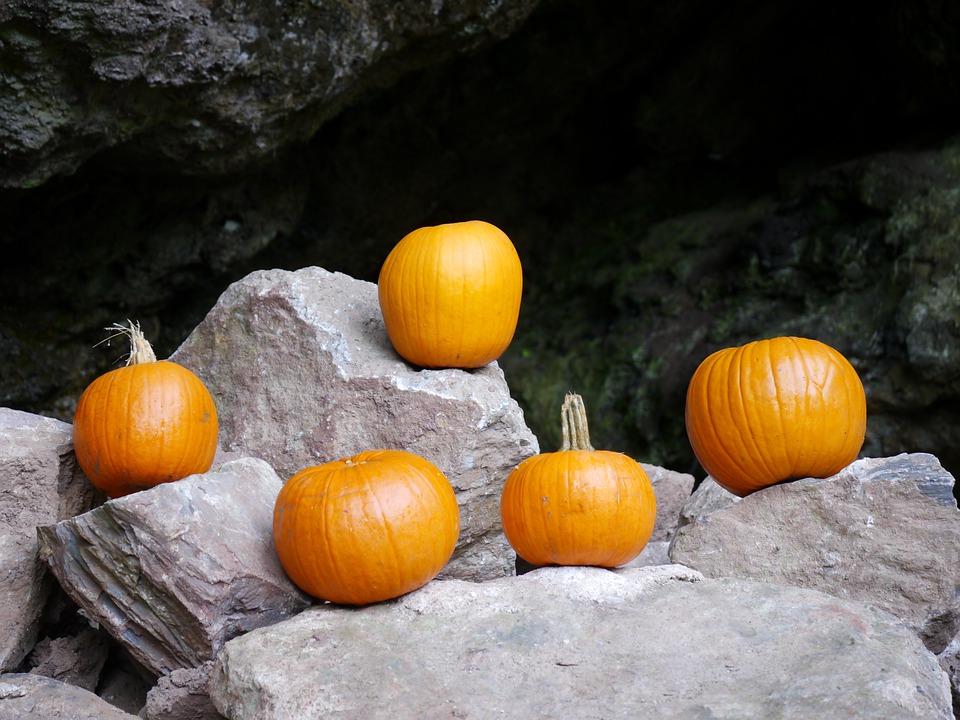 pumpkins 7545721 960 720
