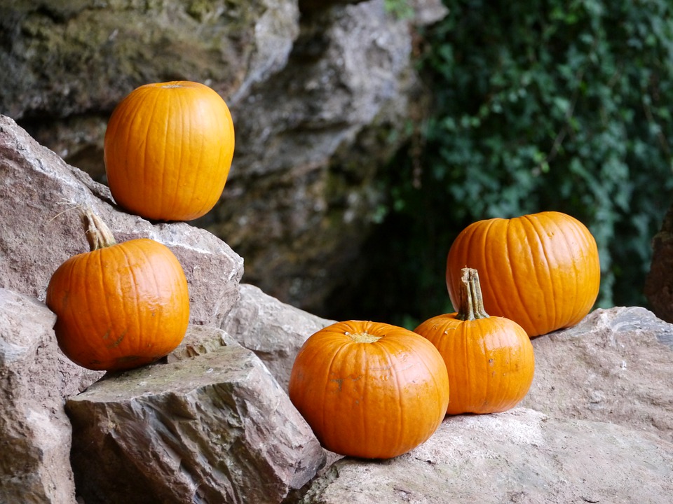 pumpkins 7545729 960 720
