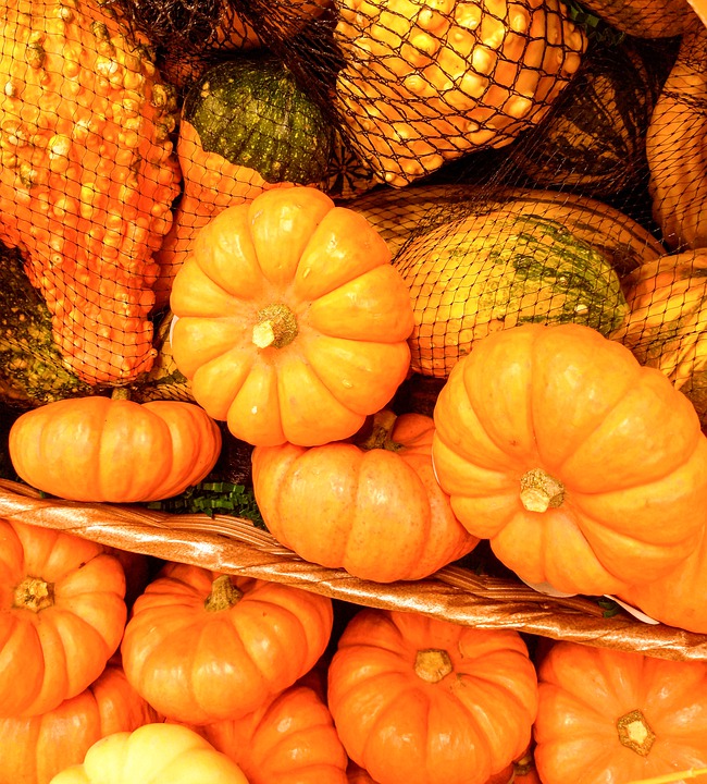 small pumpkins 7587869 960 720