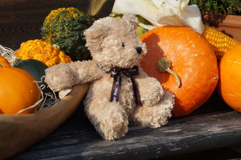 teddy 3386166 960 720