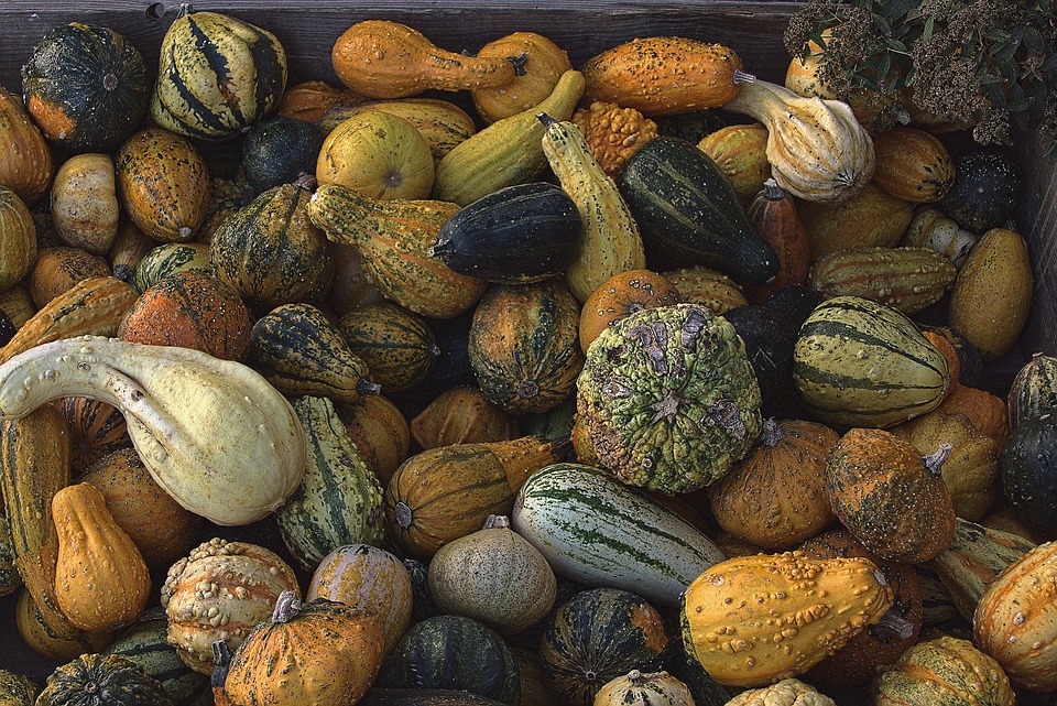 vegetables 6801733 960 720