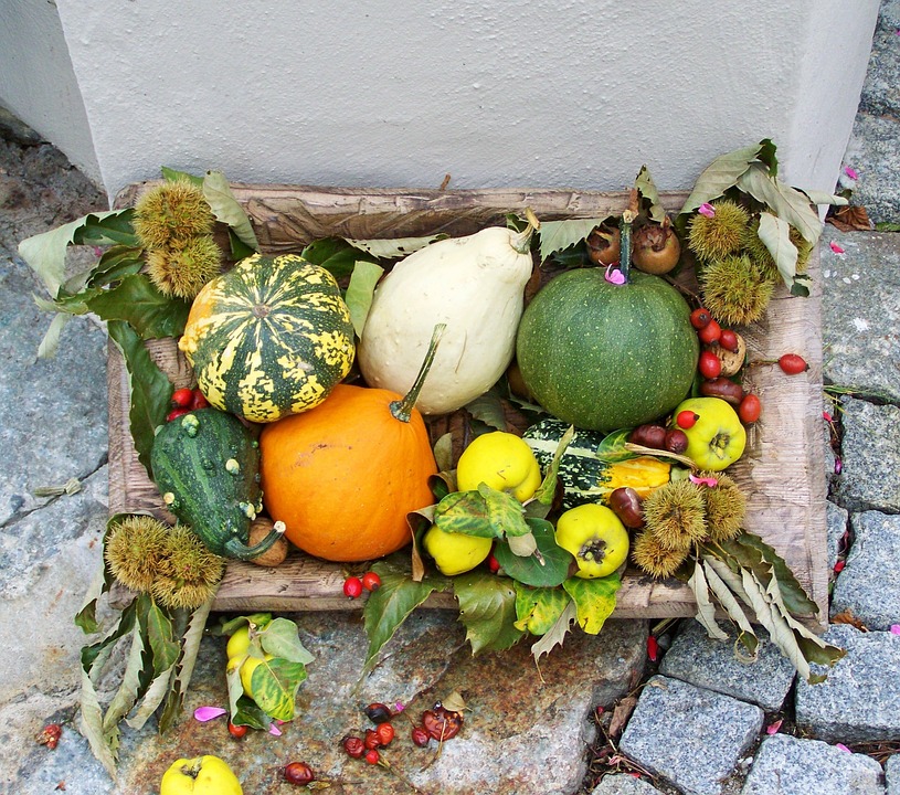 autumn scenery 2931364 960 720